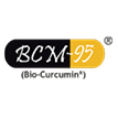 לוגו BCM95